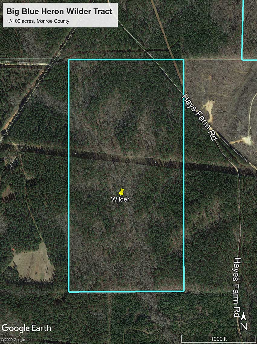 Big Blue Heron Wilder Tract Crawford County Ga Farm And Timber Properties Llc